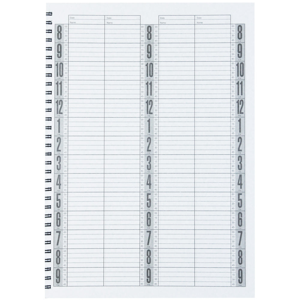 DL PRO APPOINTMENT BOOK 4 COLUMN - 100 SHEETS